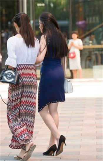 ezd311水丽菜截图