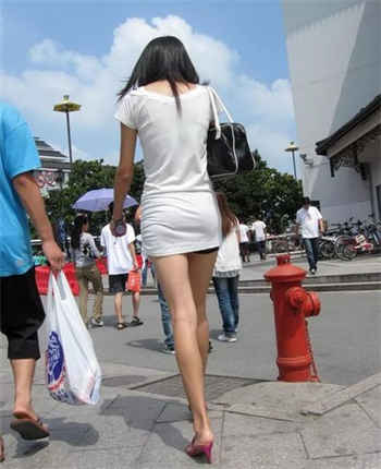 诱红楼在线阅读
