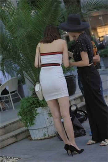 林枫秦可萱